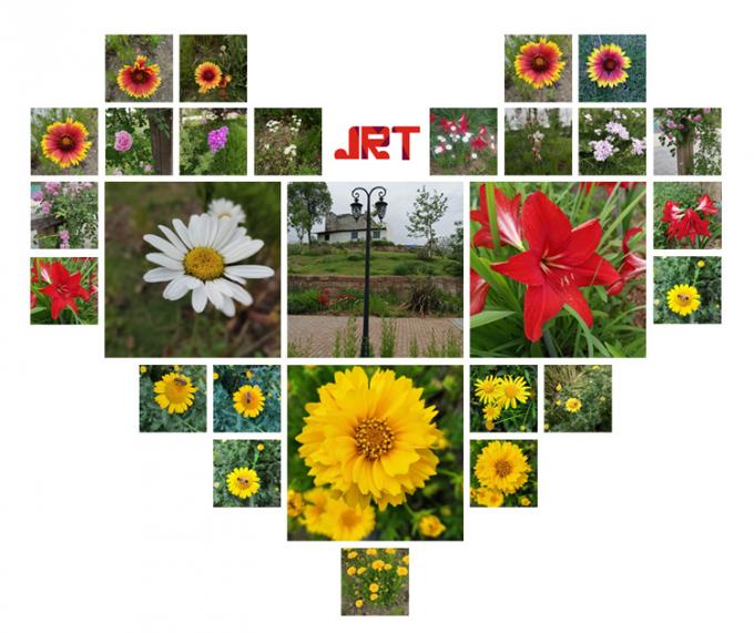 JRT - 5 -花